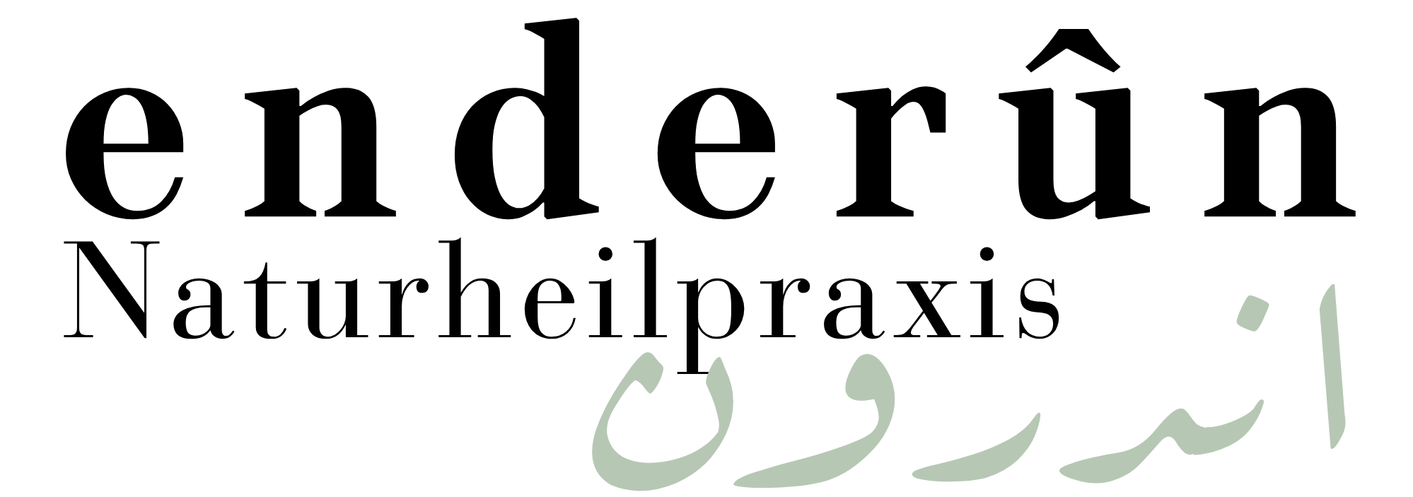 logo enderun final