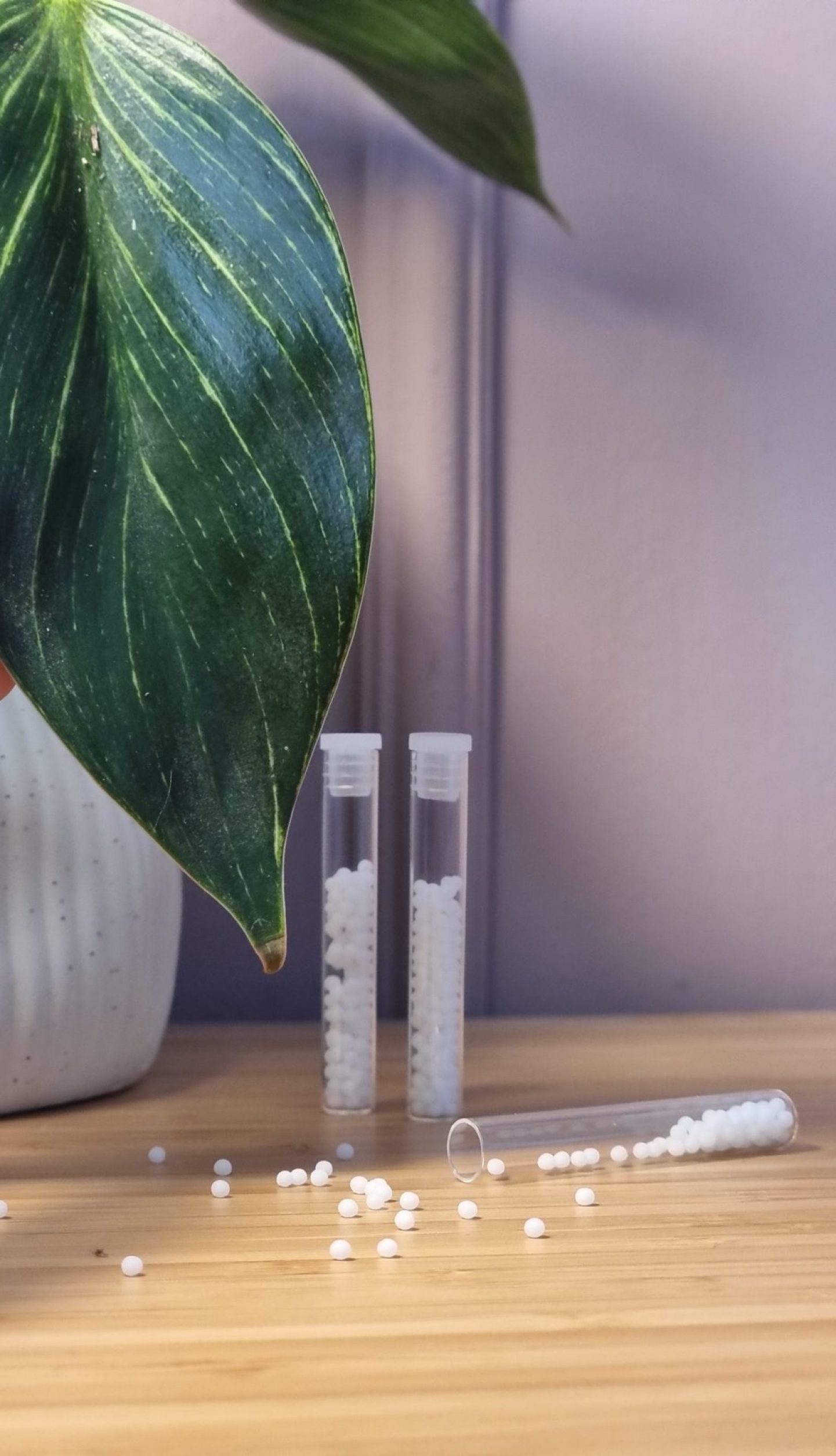 Homöopathische Globuli für individuelle, ganzheitliche Heilung in der Praxis enderûn in Stuttgart